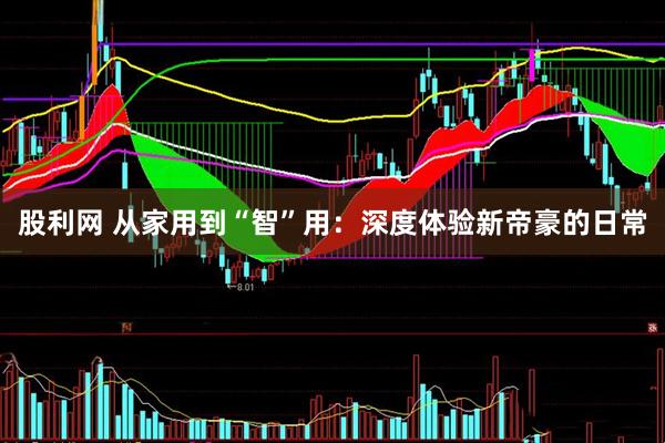 股利网 从家用到“智”用：深度体验新帝豪的日常